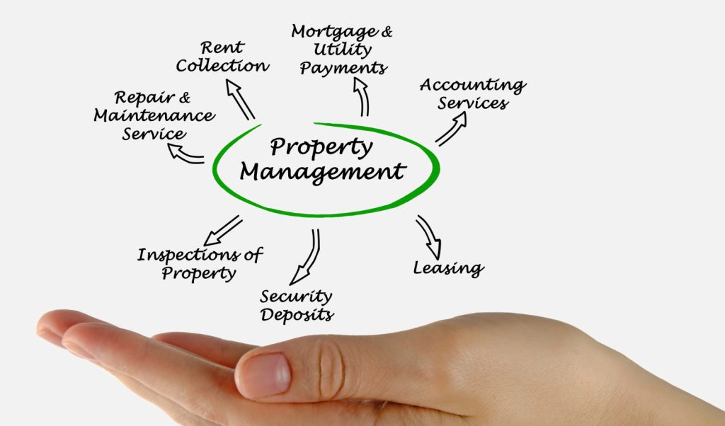 How to Enjoy Your Profits With Your Own Property Management Team