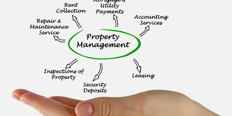 How to Enjoy Your Profits With Your Own Property Management Team